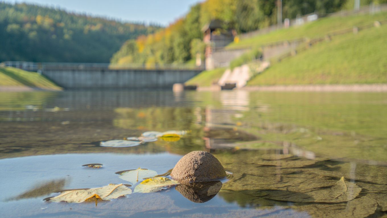 Zapomeňte na Lipno: tahle přehrada v Podyjí má čistší vodu a poloviční ceny