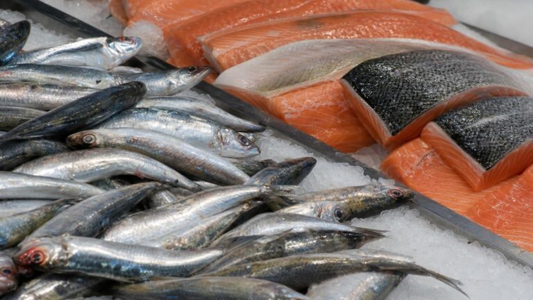 Zapomeňte na drahého lososa: dietoložka jmenuje rybu za třetinu ceny se stejným množstvím omega-3